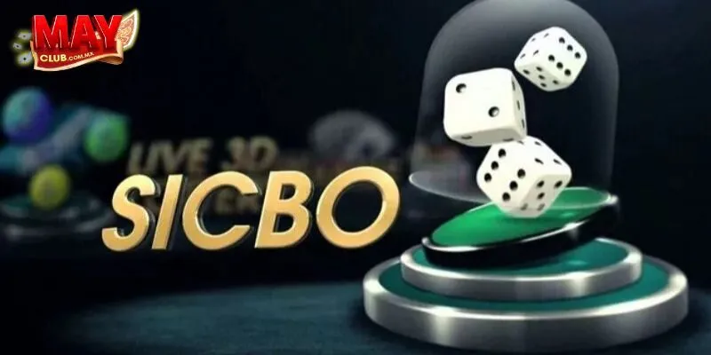 Hướng Dẫn Tham Gia Chơi Sicbo Trên Mayclub